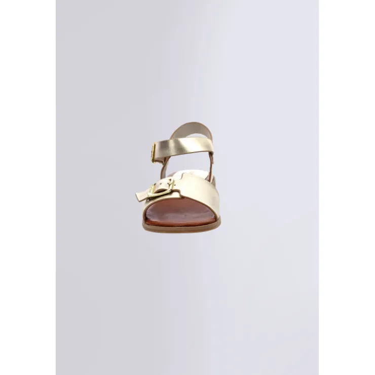 Damen Kickers Bucidi