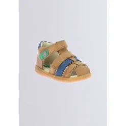 Kinder Kickers Kick Pod Camel