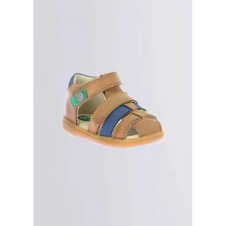 Kinder Kickers Kick Pod Camel