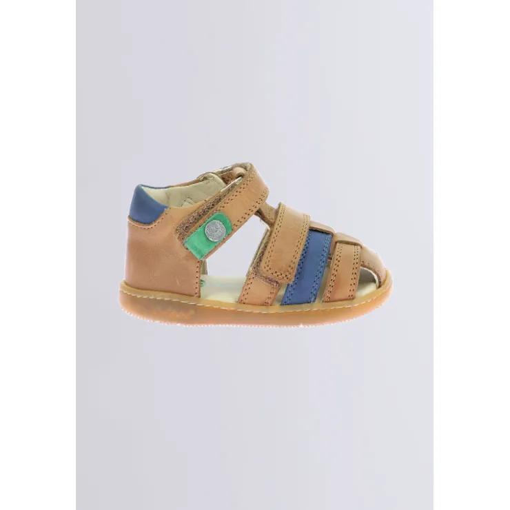 Kinder Kickers Kick Pod Camel