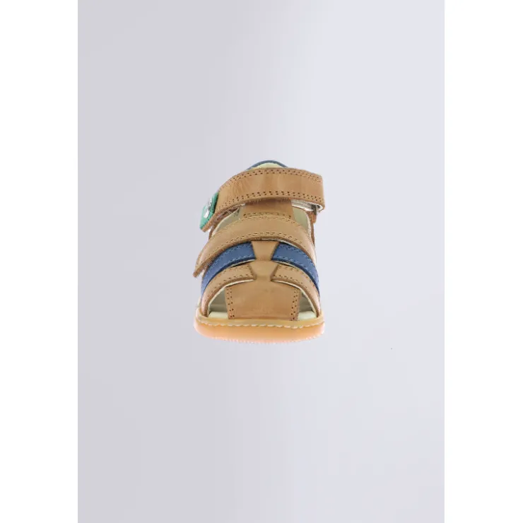 Kinder Kickers Kick Pod Camel